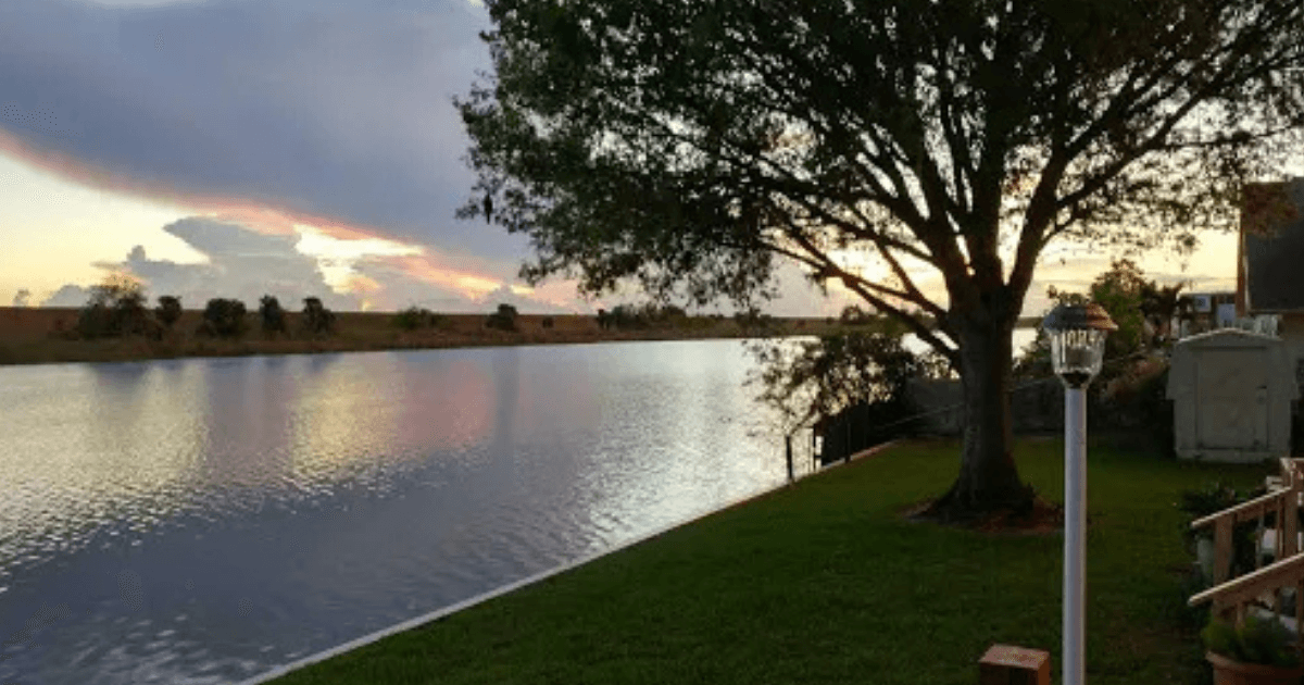 Palm-lined path toward still water reflecting clouds.