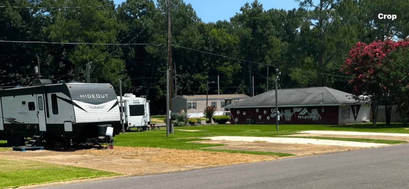Mature pine and oak canopy over shaded long-term pads at The Pines RV & Tiny Community in Azle, Texas.